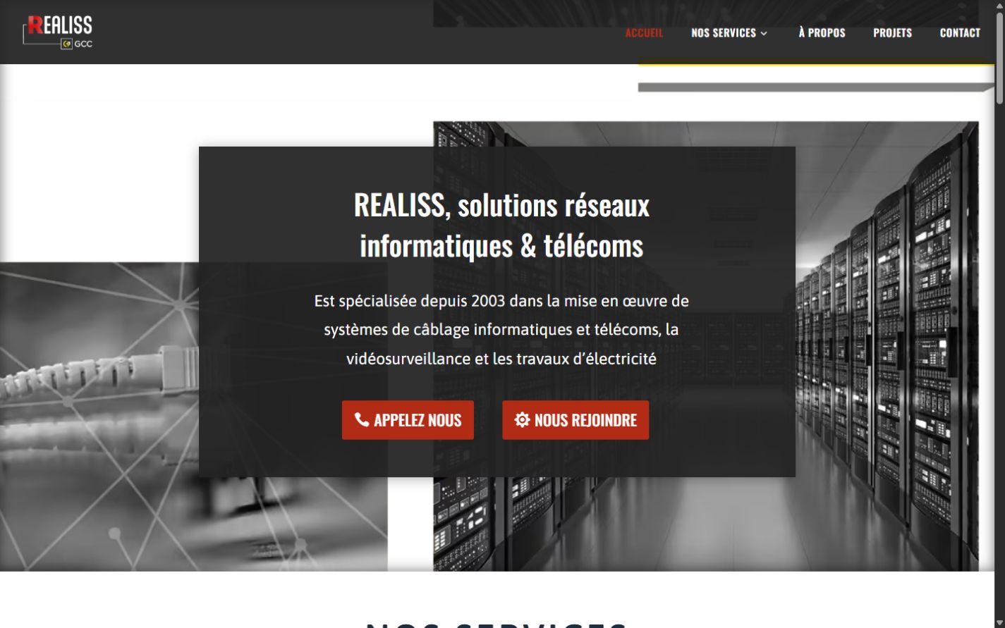 Aperçu de la page d’accueil de REALISS